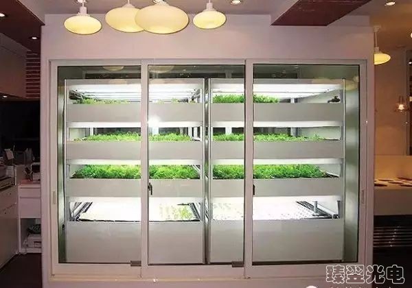 光纖照明，光導(dǎo)照明，植物栽培