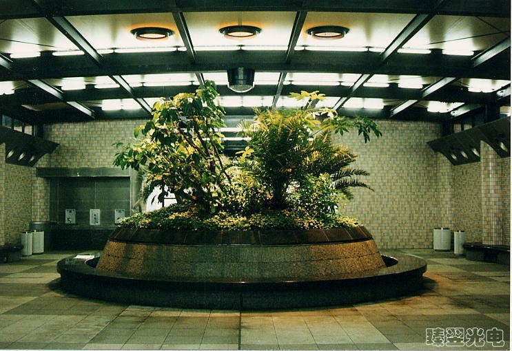 光導(dǎo)照明，光纖照明，室內(nèi)植物照射